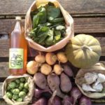 272305599_4785810918177746_7064701647502574472_n-223x300