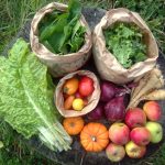 La_Ferme_de_la_Mare_des_Rufaux-2-1024x768